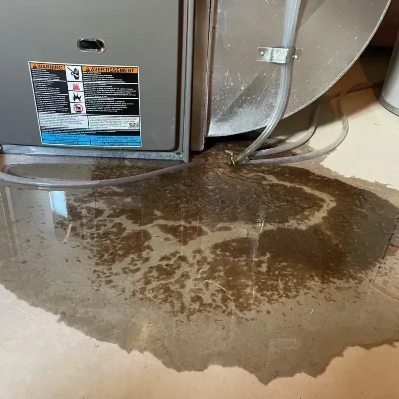 Appliance Leak Cleanup in Jacksonville, IL